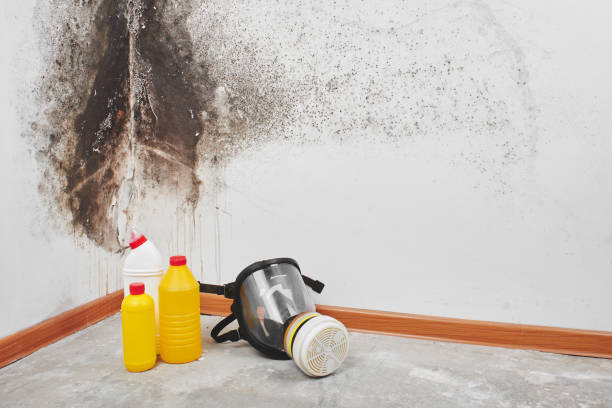 Mound City, MO Mold Inspection, Removal & Remediation Company